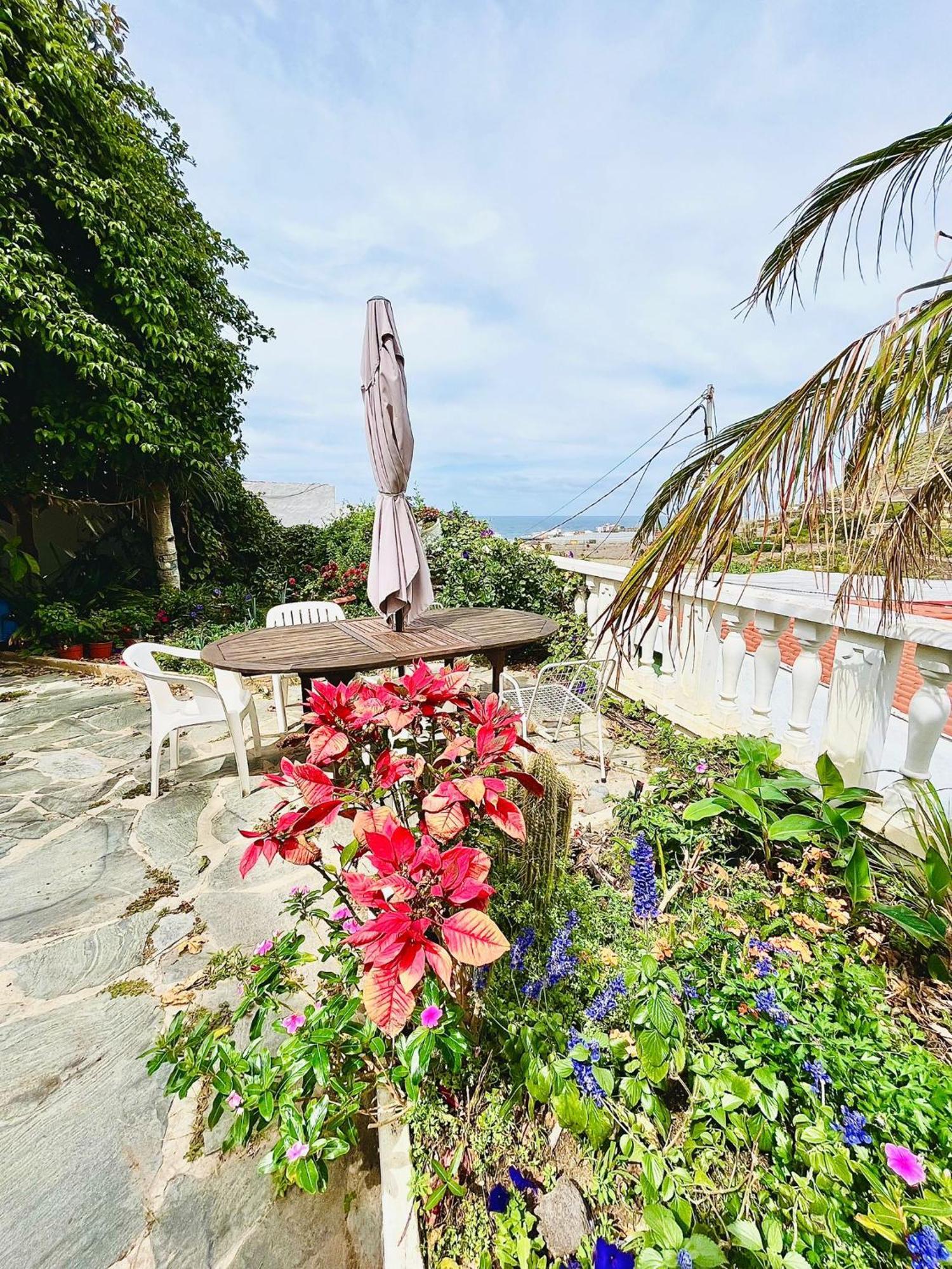Apartamento En Alquiler Santa Maria de Guia de Gran Canaria Buitenkant foto